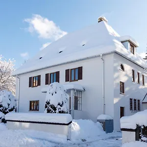  Apartment Stadtvilla Falkenstein